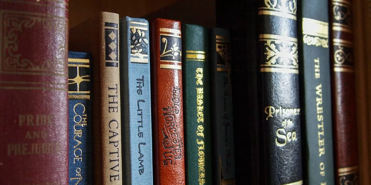 books book shelf