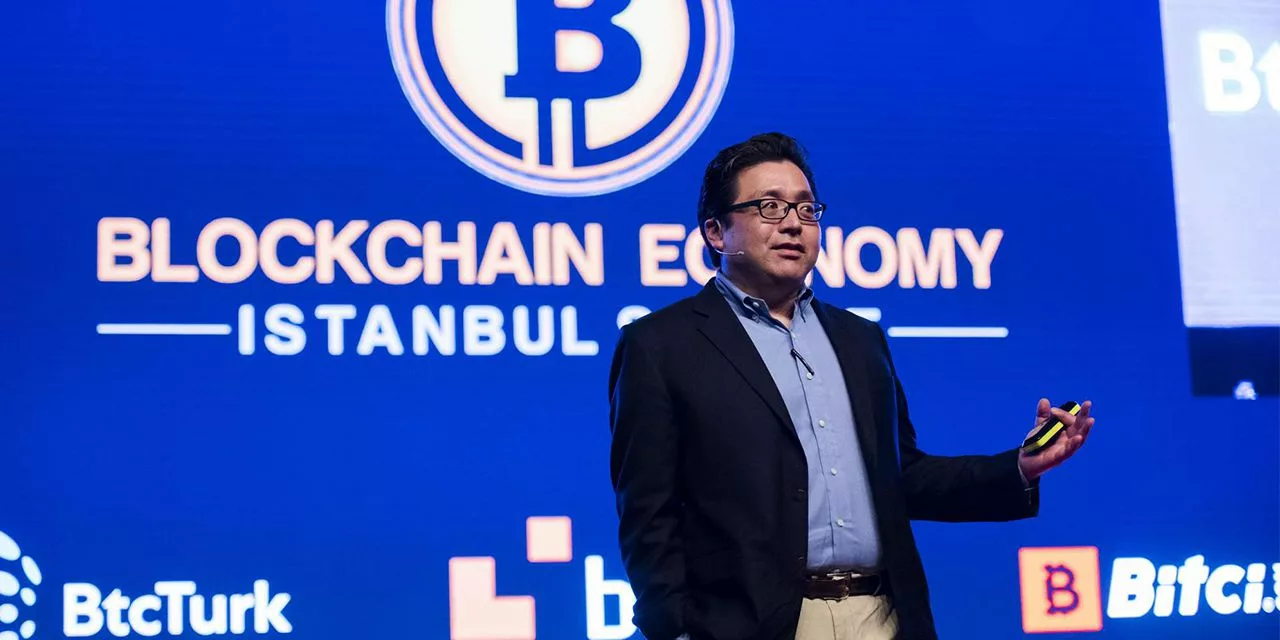 Tom_Lee_Blockchain_Economy