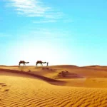 Egypt Sahara Desert Dry Camel Temple