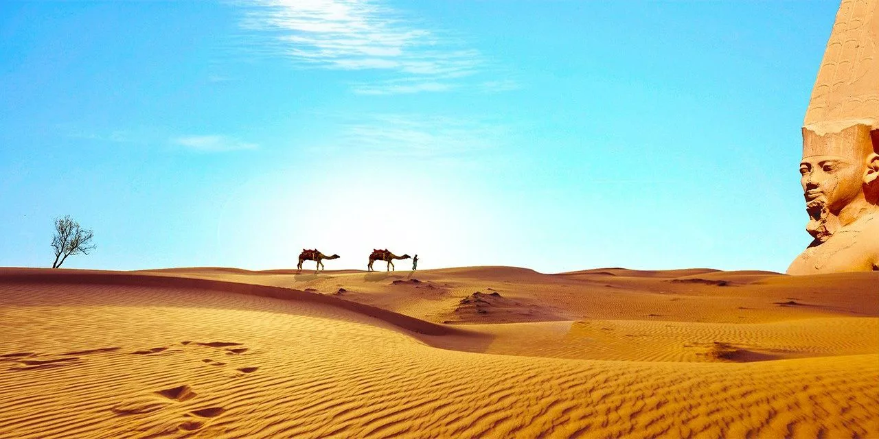 Egypt Sahara Desert Dry Camel Temple