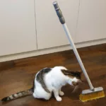 Standing broom challenge