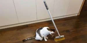 Standing broom challenge