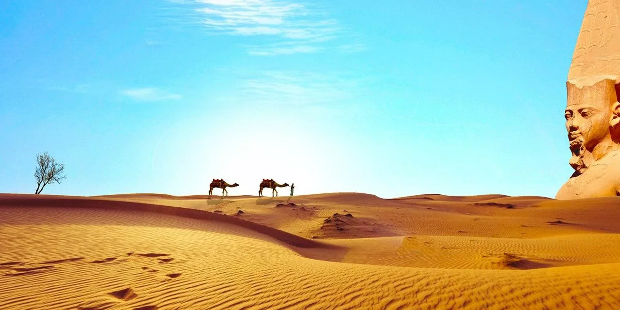 egypt sahara desert dry camels temple to discover