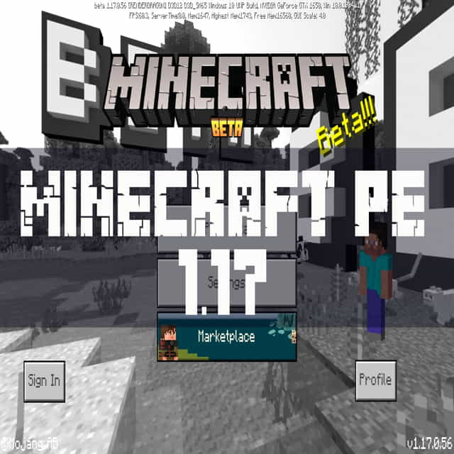 Minecraft 1.17 download