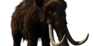 Woolly Mammoth Animal Prehistoric Wildlife 3d