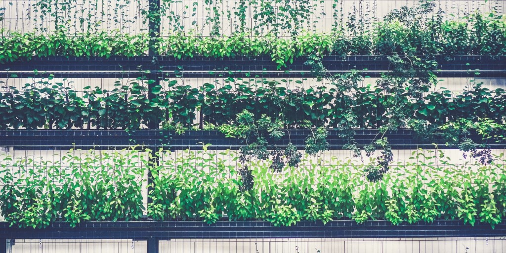 hydroponics nursery greenery farming plants