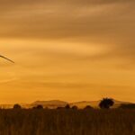 Victoria Gerrard La Crosse Explores What Eco-Friendly Technology Means