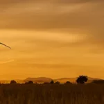 Wind Power Energy Wind Energy Eco-Friendly