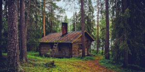 Log Cabin Cottage House Home Finland Landscape