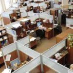 Office Cubicles Employees Working Corporate