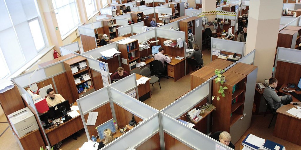 Office Cubicles Employees Working Corporate