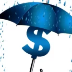 Umbrella Business Secure Idea Rain Dollar Concept