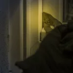 Burglar, At night, Window