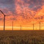 Windmills,-Fields,-Sunset-image