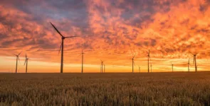 Windmills,-Fields,-Sunset-image